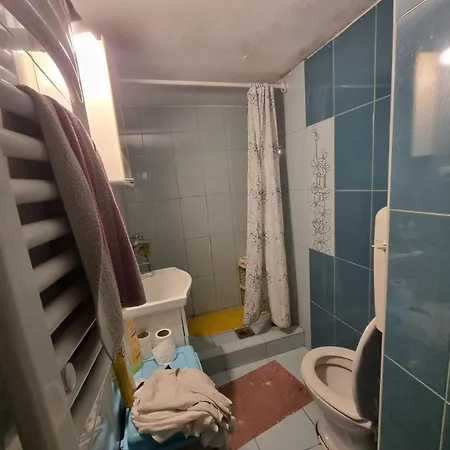 Πανσιόν Spavaca Soba S Zajednickim Kupatilom Ja Spavam U Prolaznoj Dnevnoj Sobi *